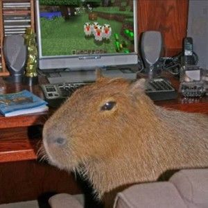 Meet your Posher, Ariel